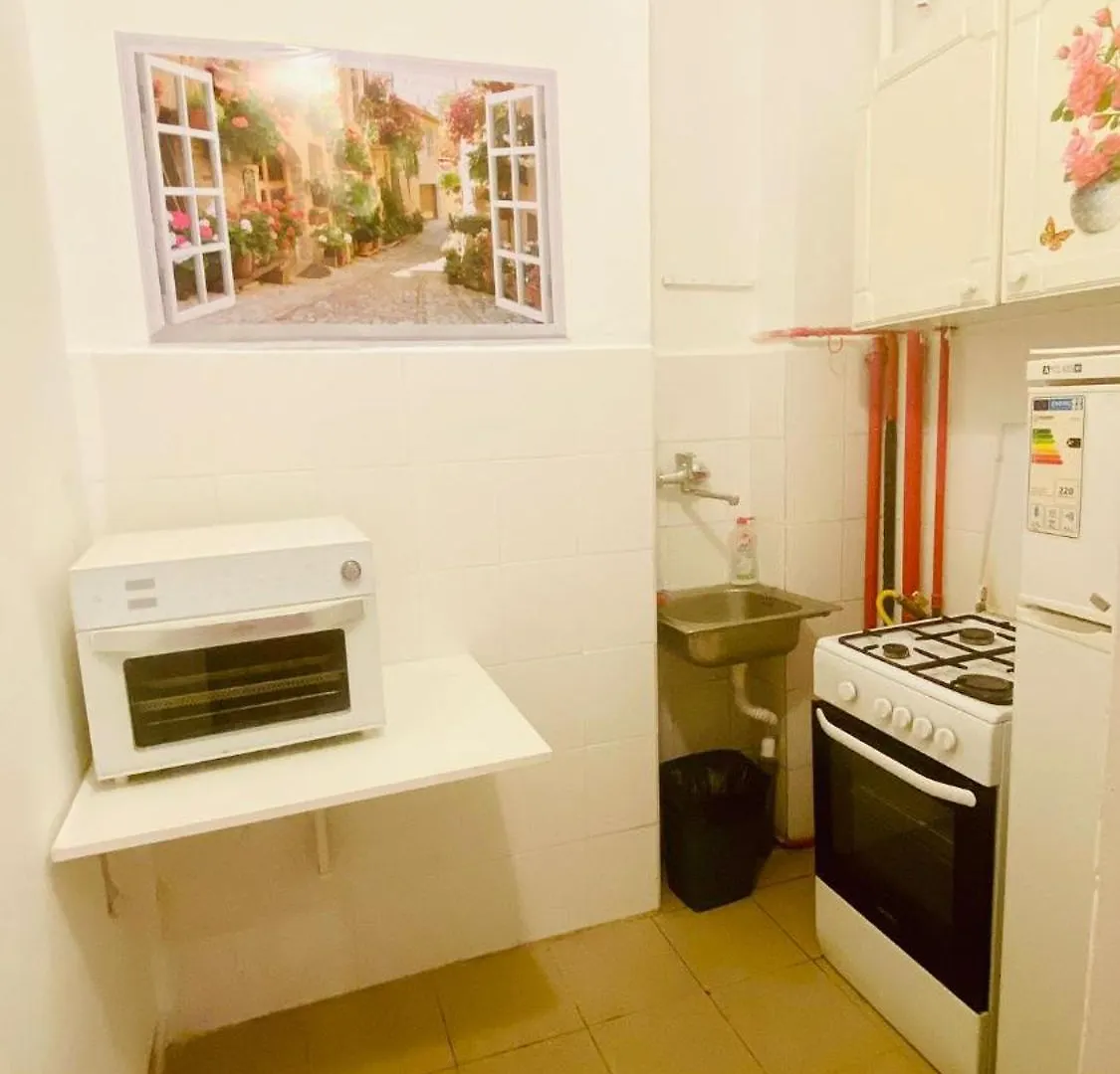 Apartment With 3 Rooms In The City Center Bucareste